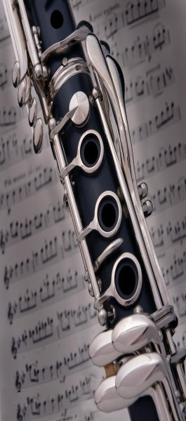 flute teachers in cornwall